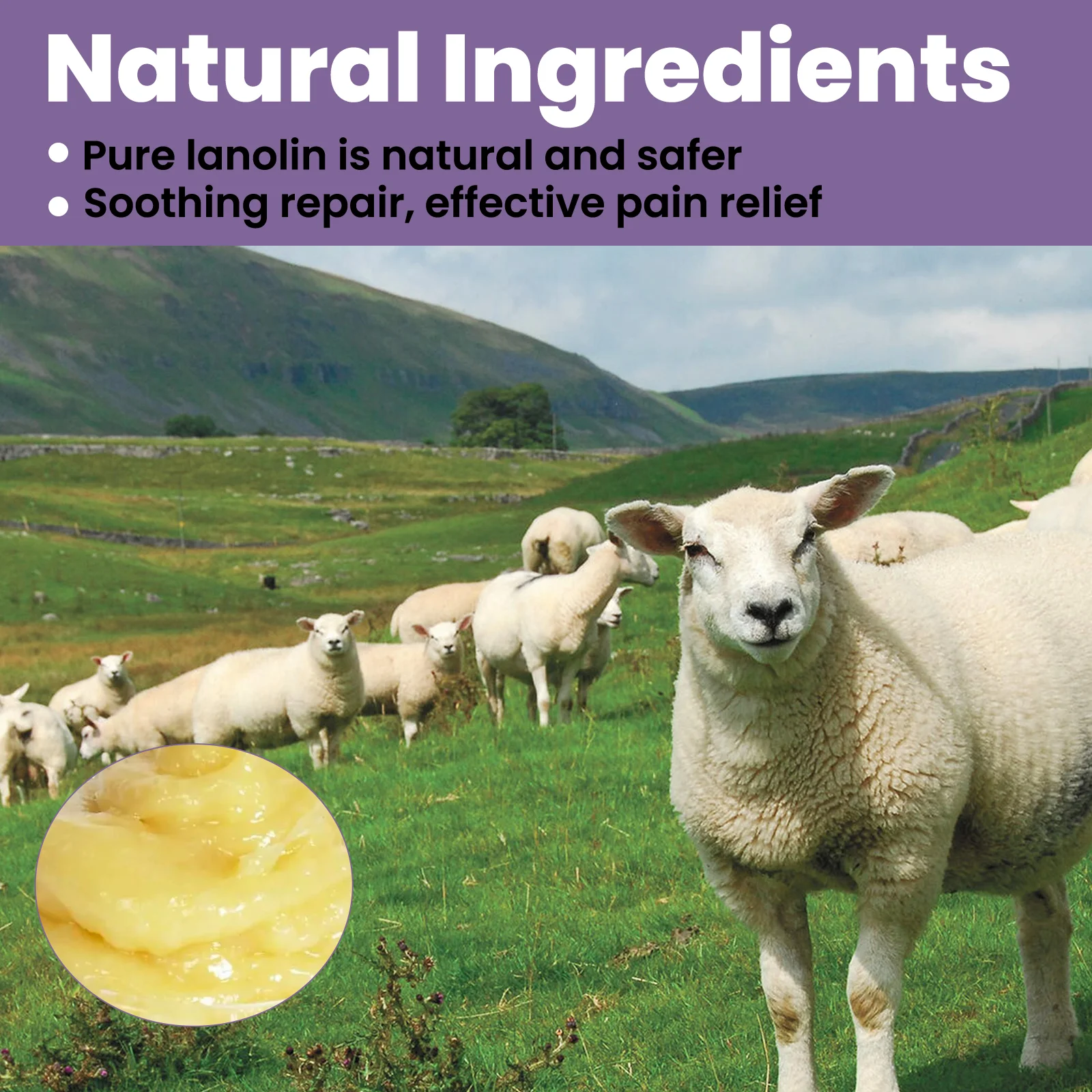 wiieey lanolin chest care cream WI HX 082 1072